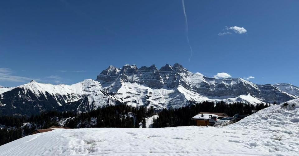 Parcelle ski in / ski out aux Portes du Soleil – photo 1