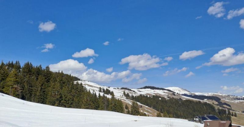 Parcelle ski in / ski out aux Portes du Soleil – photo 4